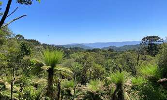 Imagem 4: Urubici - Terreno