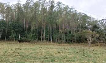 Imagem: Joaquim Felício- Fazenda de Soja e Milho