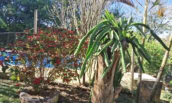 Imagem 4: Vende-se chácara! Aceito casa como parte do pagamento!