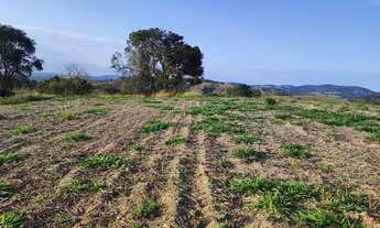 Imagem 2: Lote/Terreno para venda possui 500 metros quadrados em Jardim Tapajós - Atibaia - SP