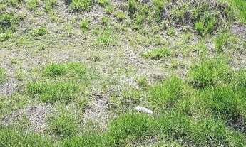 Imagem 4: Terreno-À VENDA-Loteamento Morrão Da Força-Itatiba-SP