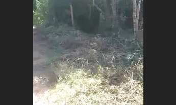 Imagem 4: Terreno Chácara com venda por R$70.000