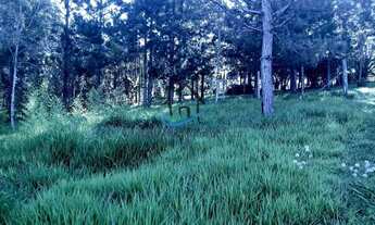 Imagem 3: Sítio para Venda em Mogi das Cruzes, Biritiba Ussu, 6 dormitórios, 4 suítes, 7 banheiros