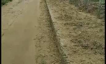 Imagem 3: Vendo Lote na Vila Nova GUARACIABA