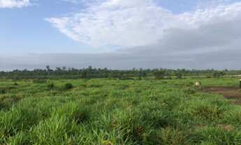 Imagem: Fazenda para venda possui 1020 hectares