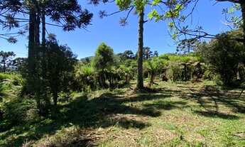 Imagem 7: Urubici - Terreno