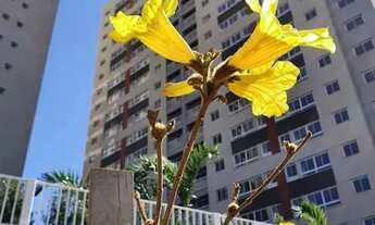Imagem 2: Alugou apto frente ao Shopping Cerrado