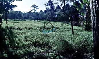 Imagem 7: Sítio para Venda em Mogi das Cruzes, Biritiba Ussu, 6 dormitórios, 4 suítes, 7 banheiros