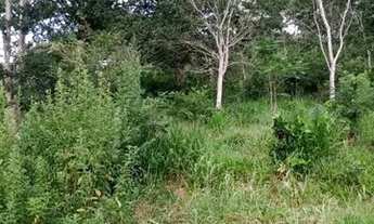 Imagem 6: Terreno 65.000m², as margens do Rio das Velhas, Jaboticatubas