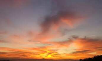 Imagem 2: Alugo Ap Itacorubi, 1 quarto