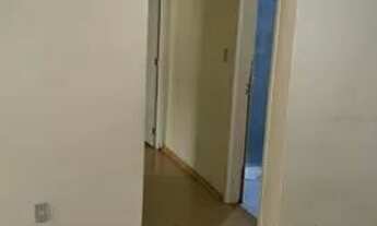 Imagem 3: Aluga-se Apartamento Direto 2 Quartos com Patio - Jardim Leopoldina