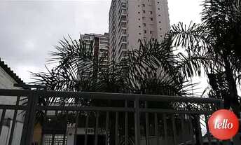 Imagem 7: São Paulo - Apartamento Padrão - Vila Formosa