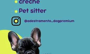 Imagem: Adestramento