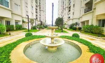 Imagem 6: São Paulo - Apartamento Padrão - Brás