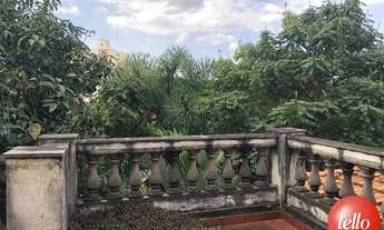 Imagem 7: São Paulo - Casa Padrão - Lapa