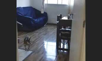 Imagem 6: Apartamento à venda Rua Lopes Trovão, São José - Canoas