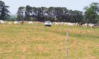 Imagem 4: COMPRE SUA FAZENDA SEM JUROS