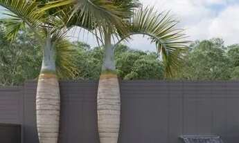 Imagem 5: Apartamento no Bancários