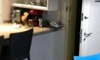 Imagem 5: APARTAMENTO - VILA VALPARAÍSO - SP