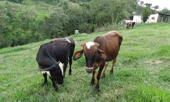 Imagem 6: FAZENDA RURAL em MATEUS LEME - MG, Serra Azul