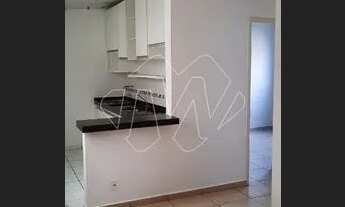 Imagem 3: Locação de Apartamentos / Padrão na cidade de Araraquara