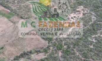 Imagem 4: Fazenda à Venda em Paulo Afonso - BA | às Margens da BR 110