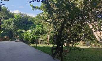 Imagem 5: Vende-se sítio próximo a margem esquerda do Rio Madeira.Ligar no número