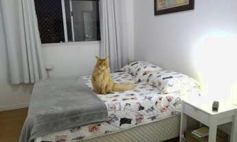 Imagem 4: Excelente oportunidade,apartamento no Centro da cidade,próximo às Universidades, Beira Rio