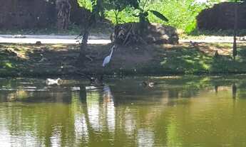 Imagem 7: Lote setor Jaó vista definitiva pra mata