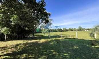 Imagem 4: Velleda oferece belo sítio de 10 hectares à venda