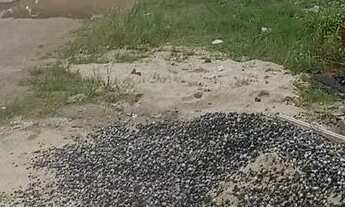 Imagem 2: Terreno 30 Mil entrada,à venda em condomínio fechado - Vargem Pequena