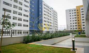 Imagem 7: Apartamento para Locação Nau Vivendas (Torre Sol) Jardim Bosque das Vivendas