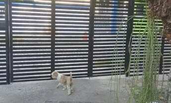 Imagem 2: ALUGAMOS CASA EM LOCALIZAÇÃO ESTRATÉGICAMENTE PRIVILEGIADA