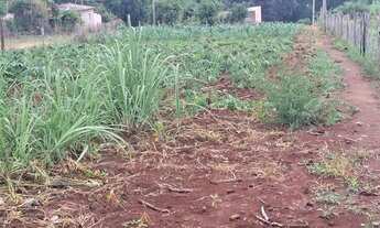 Imagem 5: Chácara em Bonfinópolis 5000m2 só R$ 400 mil