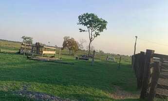 Imagem 3: Fazenda com 517 hectares na região entre a cidade de Nossa Senhora do Livramento