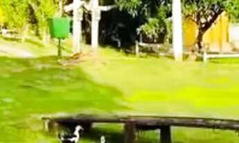 Imagem 4: SUA LINDA RESIDÊNCIA NO CAMPO