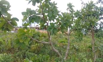 Imagem 2: Lotes à venda terreno com 360m²