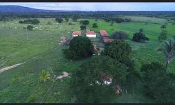 Imagem 3: A&M IMOVEIS VENDE FAZENDA GABRIELA, MELHOR DA REGIÃO DE ARINOS-MG