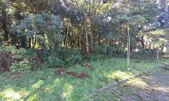 Imagem 5: Terreno à Venda em Canela!