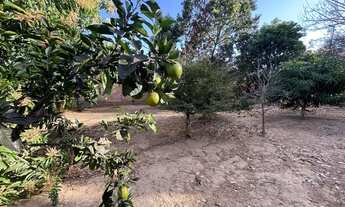 Imagem 5: Chácara em caldas 2,630 metros corrego no fundo troco, em patos de minas