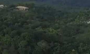 Imagem 4: Imóvel para venda com 5000 metros quadrados em Centro - Jandaíra - BA