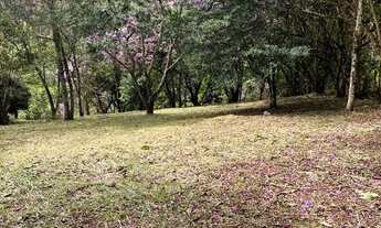 Imagem 5: Terreno em Monteiro Lobato Alpes do Buquira