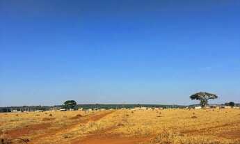 Imagem 6: Terreno para venda com 5000 metros quadrados em Sítios de Recreio Caraíbas - Goiânia - GO