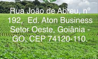 Imagem 2: Fazenda de 41,5 alq na soja