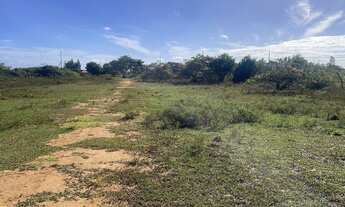 Imagem 4: Terreno Povoado Angelin