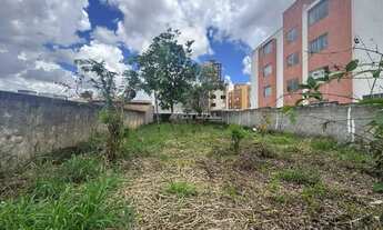 Imagem: Lote Vila Rosa