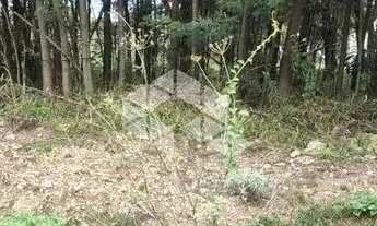 Imagem 5: Terreno Loteamento Primavera em Farroupilha