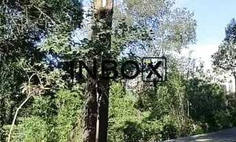 Imagem 3: TERRENO NO RESERVA GRASSELLI NO BORGO EM BENTO GONÇALVES