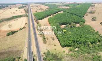 Imagem 2: 14.49 Alq. Seringueira. Margem da Euclides da Cunha