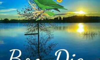 Imagem: Alugo Carnaval Temporada